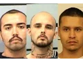 Lubbock s Most Wanted Fugitives - Week of 16
