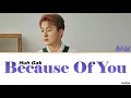 Huh Gak (허각) - Because Of You [ITA traduzione_Color Coded Lyrics_HAN_Rom]