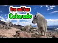 What Does and Doesn t Suck About Living in Colorado