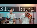 Download Lagu Naruto Shippuden - Blue Bird -Violin Cover By Bima \u0026 Deni