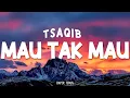 Download Lagu Tsaqib -  Mau Tak Mau || Official Lirik Video
