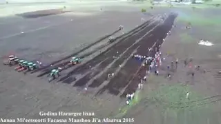 Godina Hararge Lixaa Aanaa Mi Eessootti Qonna Kilaastara Maashooti 