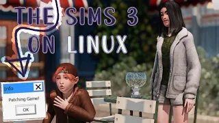The Sims 3 on LINUX THE GUIDE SMOOTH PATCH Gamemode LINUX basics for casuals