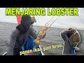Download Lagu Menjaring Lobster Ditempat ikan Pari banyak yang babon broo