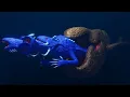 Fish eat fish 2 | size comparison | sea monsters animation full video