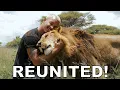 Download Lagu Dean Schneider - Reunited with the Lions