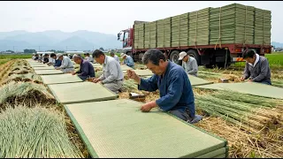 How millions of tatami mats are made from grass in Japan  - Amazing Japanese mat making techniques
