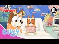 Download Lagu Bluey | 💙 Bingo Opvrolijken | Disney Junior BE Download Lagu Bluey | 💙 Bingo Opvrolijken | Disney Junior BE