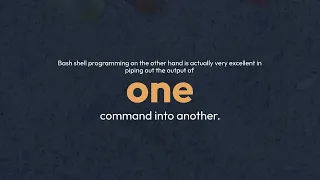 Should I use Bash or Python