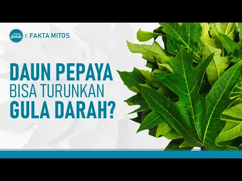 Fakta dan Mitos Seputar Daun Pepaya yang Harus Diketahui