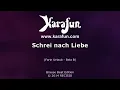 Karaoke Schrei nach Liebe - Die Ärzte *