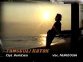Download Lagu Tangguli Katok - Nuridosia (Official Video Music) Lagu Lampung