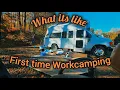 Download Lagu What its like first season of Workcamping #workcampinng #employment #vanlife 
