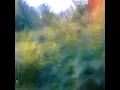 fireflies (for as far as we could see) (extended mix) - Leaving Laurel