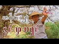 Download Lagu နင်ဂျာဘရှင် အပိုင်း (၂)