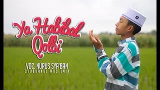 Download YA HABIBAL QOLBI Voc. Sya'Ban | Syubbanul Muslimin MP3