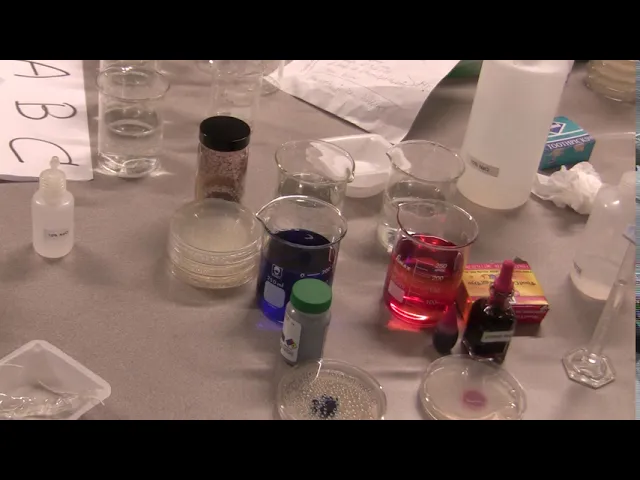 Bio 1 Osmosis & Diffusion