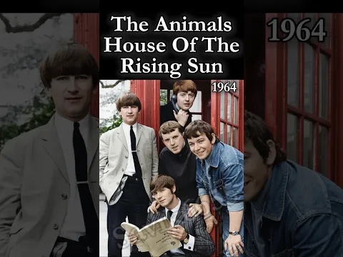 The Animals – House of the Rising Sun special video mix #Savik6655 #shorts #short