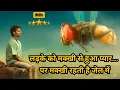 Download Lagu A Boy Found a Mysterious Bee Fly in Jail And Fell in Love 🐝❤️💥🤯 | South Movie Explained in Hindi