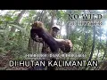 Download Lagu Berburu Tupai Kerabak Di Hutan Rimba Kalimantan Hari Ke Dua