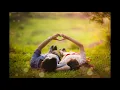 Download Lagu Tình Ơi Mi Là Chi - Châu Gia Kiệt
