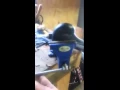 Homer decoys Break test