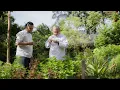 Download Lagu The Chef Series 2025 - Jordi Artal