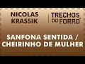 Download Lagu Sanfona Sentida e Cheirinho de Mulher - Nicolas Krassik