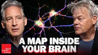 How Does Your Brain Know Where You Are? | World Science Festival