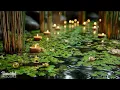 Tranquil Massage Ambience 🌿 Spa Music No Ads for Body & Mind Relaxation