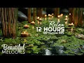 Tranquil Massage Ambience Spa Music No Ads for Body Mind Relaxation