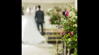 احلى زفة ليال عبود بدون موسيقى طبول دف دندنها