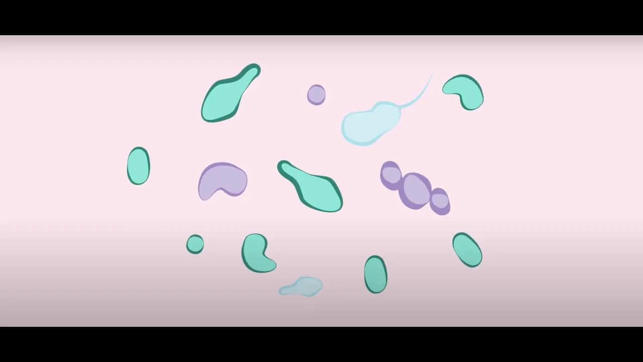 Learning from nature to advance biotechnology through microbiomes: PROMICON results