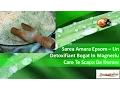 Download Lagu Sarea Amara Epsom – Un Detoxifiant Bogat In Magneziu Care Te Scapa De Durere Vivasan