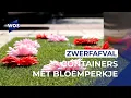 Download Lagu Lenteachtige ondergrondse containers