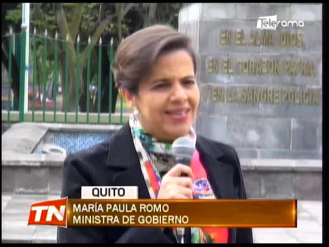 Romo: Imposible que empresas públicas financiaran la consulta