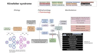 klinefelter syndrome mechanism of diseases 