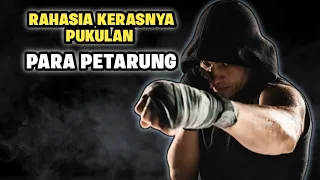 secret mma training to make your punches brutal u0026 super fast 