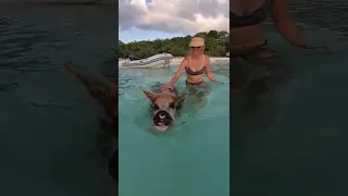 Peppa’s Ocean Dip 🐷#shorts