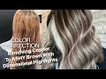 COLOR CORRECTION Copper To ASHY BROWN With Dimensional Highlights Getting Rid Of Red