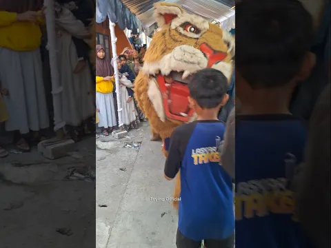Barongan Macan Nguntal Bocah #shorts