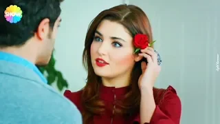 اليسا   كرهني   حياة ومراد         دندنها