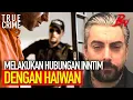 Download Lagu IAN WATKINS: DARI ROCKSTAR KEPADA SEORANG MONSTER PALIK JIJIK!!!