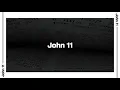John 11 Bible Reading NIV