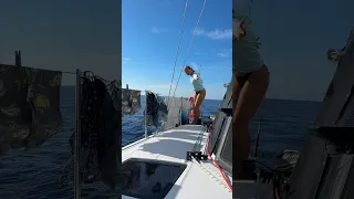 How we do laundry living on a boat⛵️🧼 #boatlife