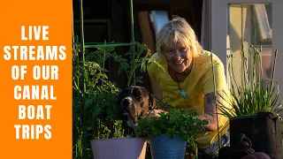 FTB LIVE! Postponed until the weekend