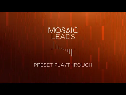Mosaic Leads product video