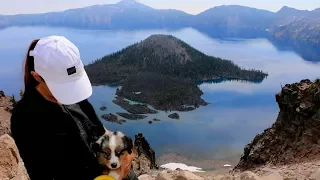 17] PUPPY SURPRISE: A New Crew Member | Abandon Comfort – USA Road Trip & Boondocking