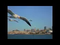 Download Lagu I Left My Heart in San Francisco (sax cover)