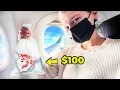 Download Lagu I Took a Rare Betta on an Airplane